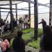Estudiantes y familias participan en jornada de educación ambiental en Alto Hospicio