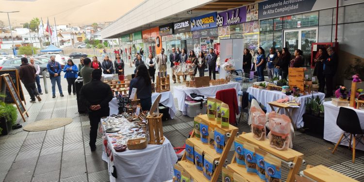 Feria Mujer Emprende 2026 reunió a 22 emprendedoras de Tarapacá