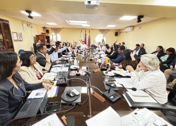 Consejo Regional aprobó más de $1.170 millones para fortalecer la industria logística