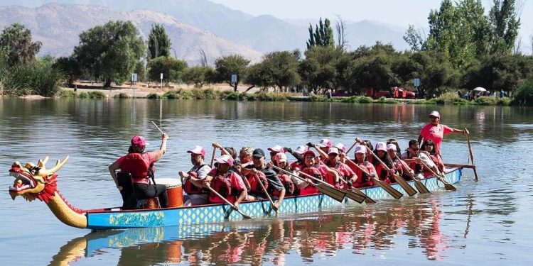 Fortale-Senos Chile, con integrantes U. de Chile, competirá en festival internacional de bote dragón en Francia