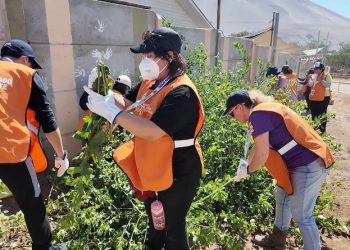 Estudiantes y colaboradores de Santo Tomás llevaron solidaridad a Poconchile durante el Voluntariado de Invierno