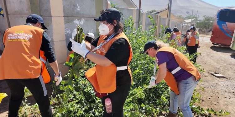 Estudiantes y colaboradores de Santo Tomás llevaron solidaridad a Poconchile durante el Voluntariado de Invierno