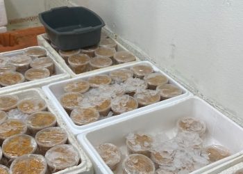SEREMI de Salud detecta planta procesadora de erizos sin resolución sanitaria