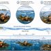 Estudio U. de Chile revela cómo caracoles habrían llegado a la Antártica sobre macroalgas