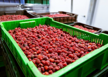 Exportaciones enero-julio crecen 15% y superan los US$ 70.000 millones: Alimentos alcanzan cifra récord