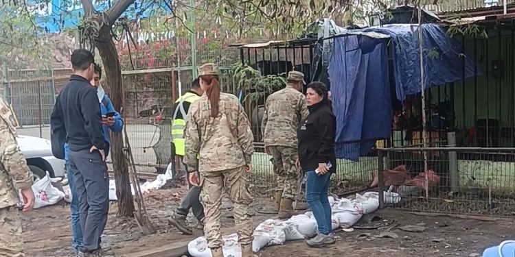 Apoyo a familias afectadas por sistema frontal en sector Las Cabras de Iquique