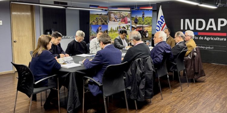 INDAP presentó su estrategia de desarrollo 2026-2030 a los países participantes de la REAF