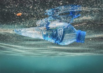 Biotecnología Ambiental: U. de Chile identifica enzima de Atacama capaz de degradar plástico