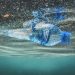Biotecnología Ambiental: U. de Chile identifica enzima de Atacama capaz de degradar plástico