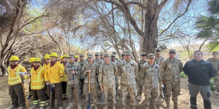 Ejército y CONAF Tarapacá refuerzan preparación de brigadas para enfrentar incendios forestales