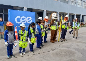 Más de 500 alumnos aprenden con CGE medidas de seguridad para elevar volantines                                          