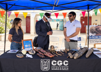 Para toda la familia: Gran Festival de Ciencia y Tecnología