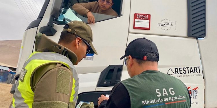 SAG y Carabineros aumentan controles carreteros para prevenir ingreso de la mosca de la fruta