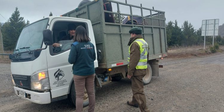 SAG refuerza llamado a cumplir las exigencias de trazabilidad y bienestar animal durante Fiestas Patrias