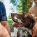 Chile elimina la rabia transmitida por perros: un logro que se cuida con prevención