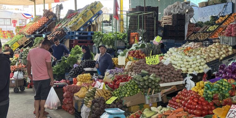 Cotizar para disfrutar el “Dieciocho”: Seremi de Economía y SERNAC presentan cotizador de precios para Fiestas Patrias