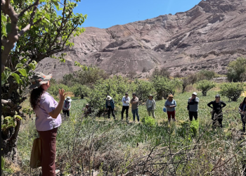 Tarapacá reunió a representantes de Parinacota, San Pedro de Atacama, Alto Biobío, La Araucanía y Chiloé en Encuentro Nacional SIPAM