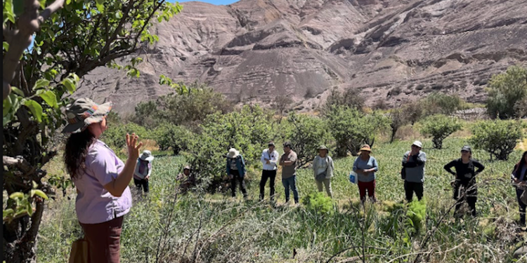 Tarapacá reunió a representantes de Parinacota, San Pedro de Atacama, Alto Biobío, La Araucanía y Chiloé en Encuentro Nacional SIPAM