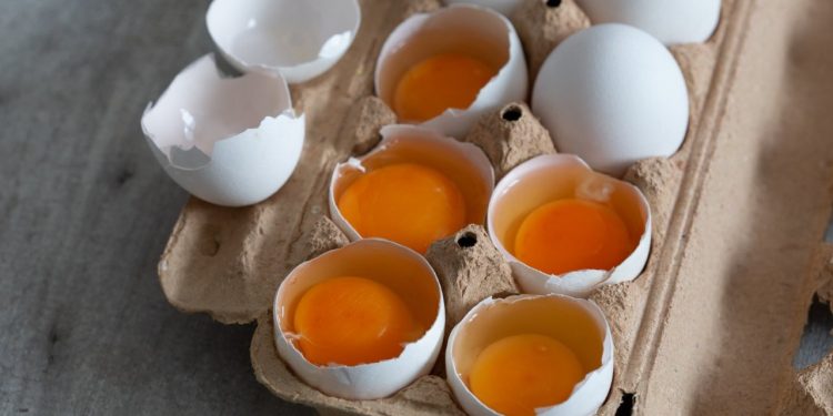 Chile entre los países con mayor déficit de Vitamina D: el huevo es una gran opción natural