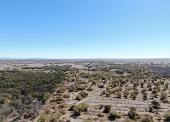 CONAF Tarapacá informa que el uso recreativo de drones está prohibido en áreas protegidas