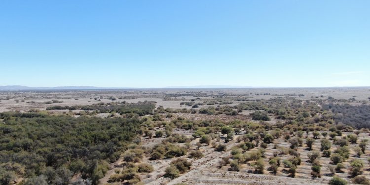 CONAF Tarapacá informa que el uso recreativo de drones está prohibido en áreas protegidas
