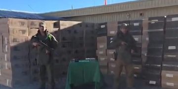 Carabineros incautó más de 665 mil cajetillas de cigarrillos de contrabando en la Ruta A-65
