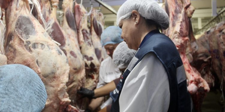 Refuerzan fiscalizaciones a carnicerías de Tarapacá previo a Fiestas Patrias del 2026