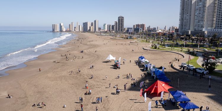 Voluntariado Teck se sumó a limpieza de playas en Iquique y Caleta Cáñamo