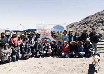 Unieron innovación con tradiciones ancestrales para fomentar el bienestar animal