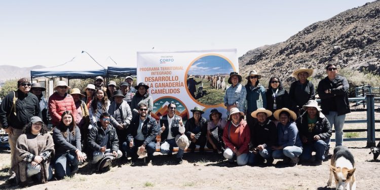 Unieron innovación con tradiciones ancestrales para fomentar el bienestar animal