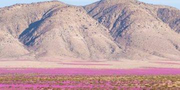 Equinoccio de primavera: Especialistas U. de Chile aclaran qué es verdad y qué es mito