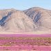 Equinoccio de primavera: Especialistas U. de Chile aclaran qué es verdad y qué es mito