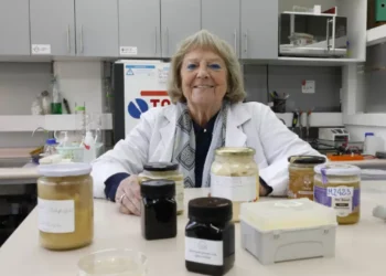 Gloria Montenegro es la primera mujer con el Premio Nacional de Ciencias Aplicadas y Tecnológicas