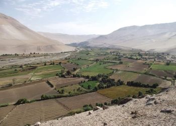 Programa agroalimentario recibirá financiamiento para implementar hoja de ruta