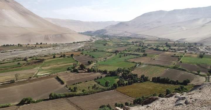 Programa agroalimentario recibirá financiamiento para implementar hoja de ruta