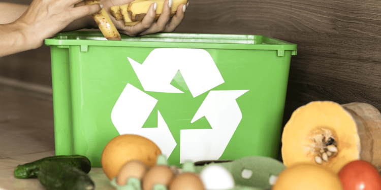 Subdere anuncia inversión de más de $132 millones para financiar programa de reciclaje orgánico en Arica