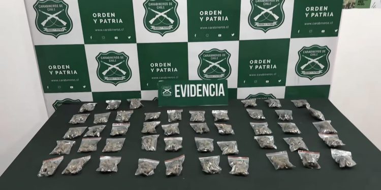 Carabineros detiene a conductor con 523 gramos de marihuana
