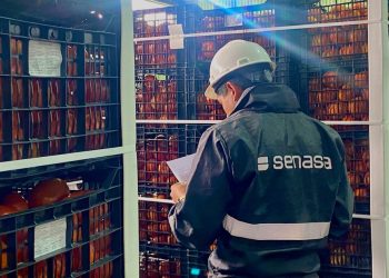 SAG y SENASA Argentina realizan primera inspección conjunta para exportar tomates por paso Jama