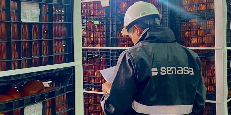 SAG y SENASA Argentina realizan primera inspección conjunta para exportar tomates por paso Jama
