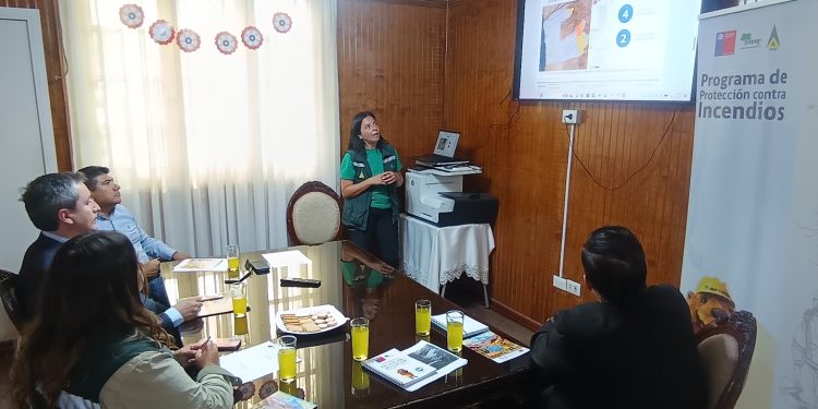 CONAF Tarapacá fortalece la prevención de incendios forestales con entrega de plan al Municipio de Huara