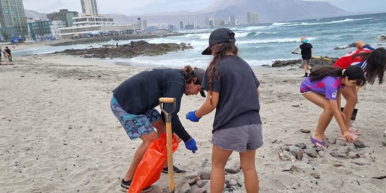 COSOC de SENDA Tarapacá impulsa jornada de limpieza en Playa Bellavista y fortalece prevención comunitaria