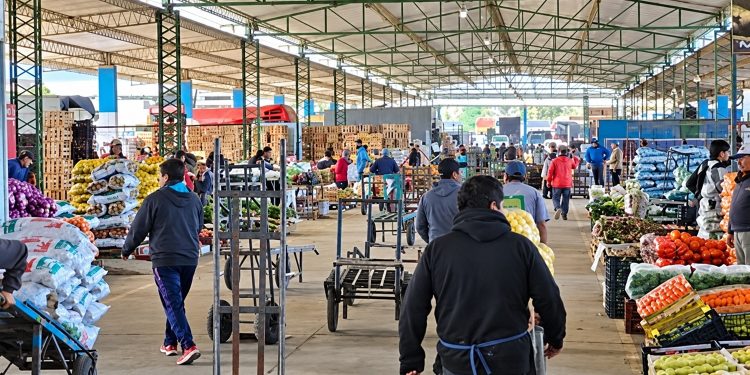 7 de cada 10 hogares chilenos compran en ferias, mientras la reposición cotidiana gana terreno en los mayoristas