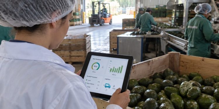 Startup Bruna expande su impacto en Latinoamérica junto a SONDA con soluciones de inteligencia artificial para diversas industrias