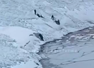 Tragedia en Portillo: Tres muertos y cuatro heridos en avalancha