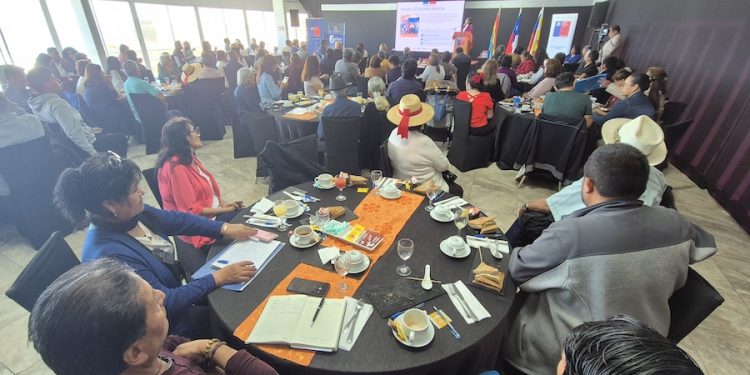 Más de 150 personas participan en Coloquio sobre resguardo de sitios de significación cultural en el Tamarugal