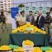 Fiscalía y OS7 sacan de circulación 700 kilos de drogas y dan duro golpe a dos organizaciones criminales