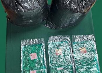 Madre y su hijo de 17 años fueron sorprendidos con más de 17 kilos de hojas de coca en Colchane