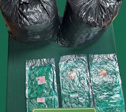Madre y su hijo de 17 años fueron sorprendidos con más de 17 kilos de hojas de coca en Colchane