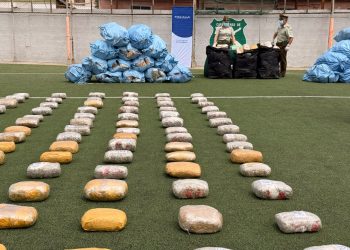 Tres detenidos y casi una tonelada de drogas incautada en procedimientos de Fiscalía y Carabineros en Calama y Sierra Gorda