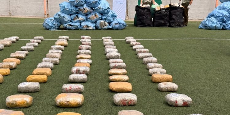 Tres detenidos y casi una tonelada de drogas incautada en procedimientos de Fiscalía y Carabineros en Calama y Sierra Gorda